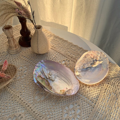 Real Seashell Jewellery Plate